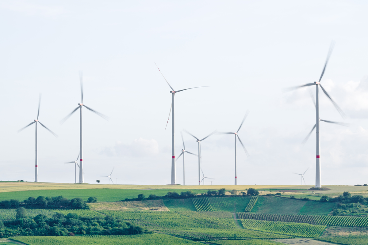 Renewable Energy Support Scheme (RESS) Gains Support